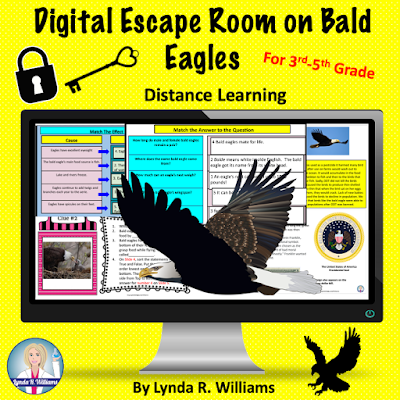 Bald Eagles Escape Room Digital Escape Room on Bald Eagles