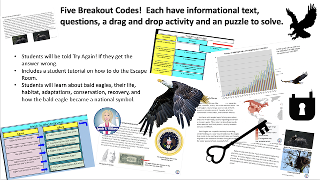 bald eagle digital escape room bald eagle digital escape room