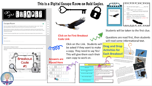 bald eagle digital escape room digital escape room on bald eagles