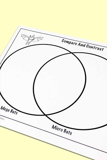 Bats Close Reading Unit