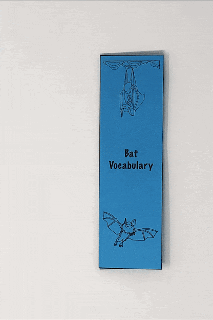 bat vocabulary foldabe