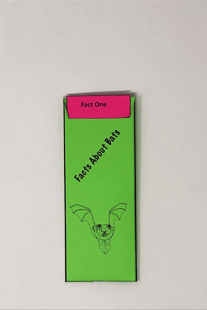 bat facts for kids