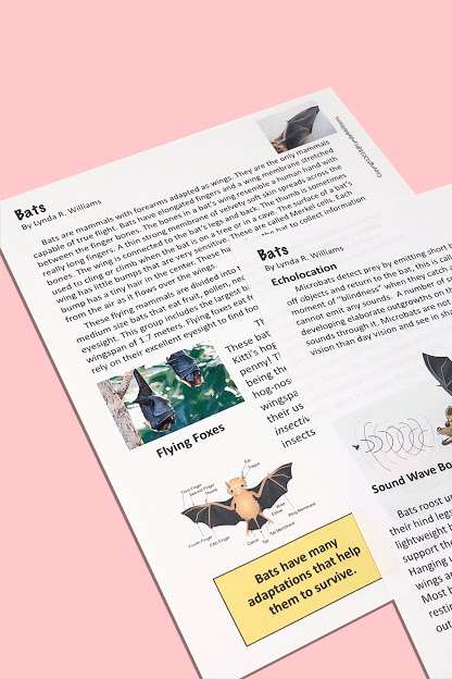 Bats Close Reading Unit