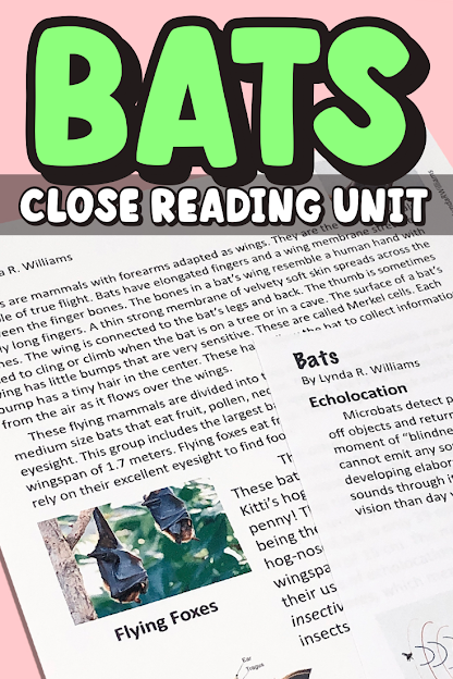 all about bats