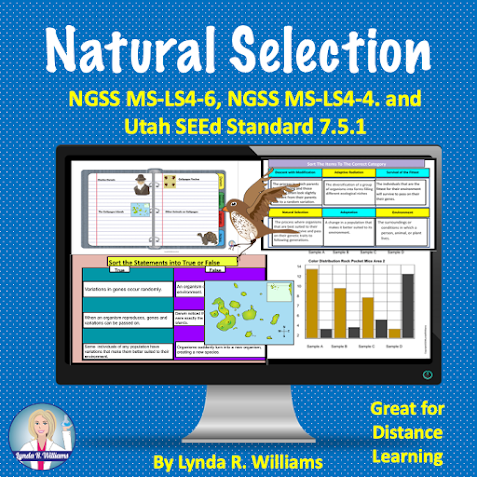 Darwin's natural selection worksheet Natural Selection Worksheet Biological Evolution Standards