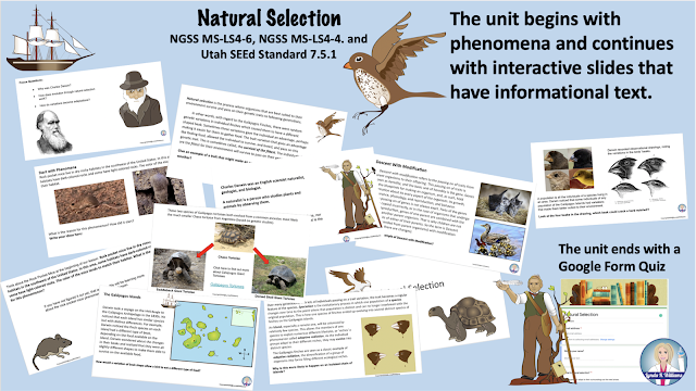 Darwin's Natural Selection Worksheet Natural Selection and Survival of the Fittest