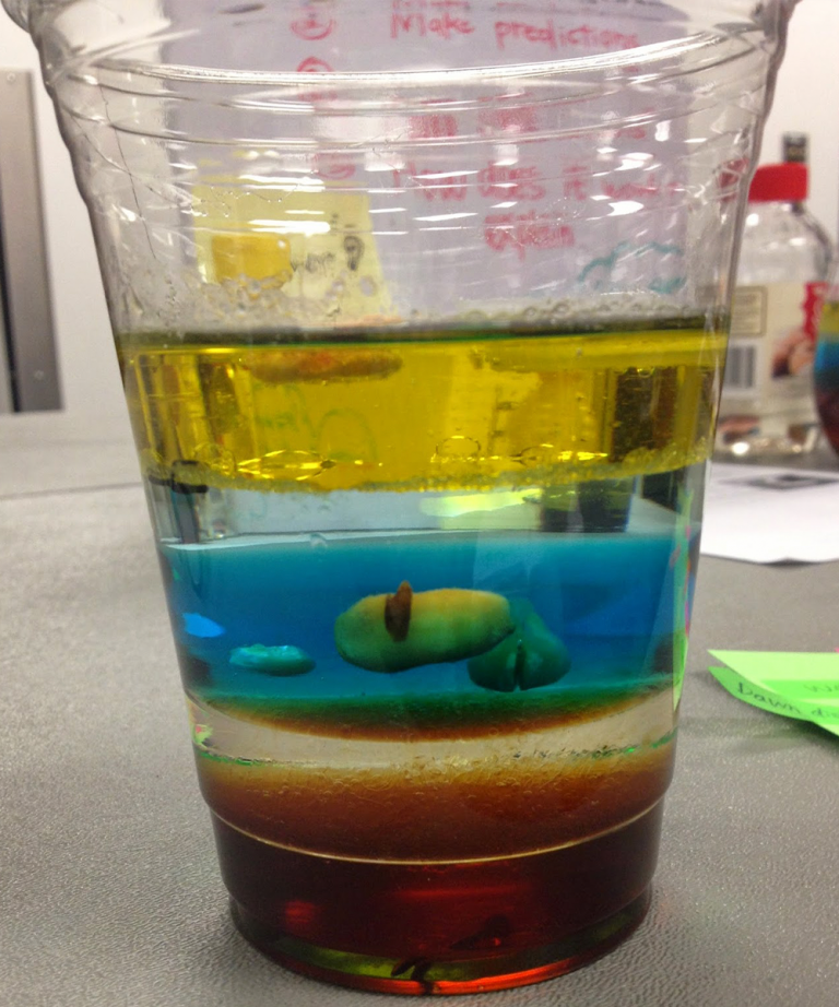 science experiments for kids