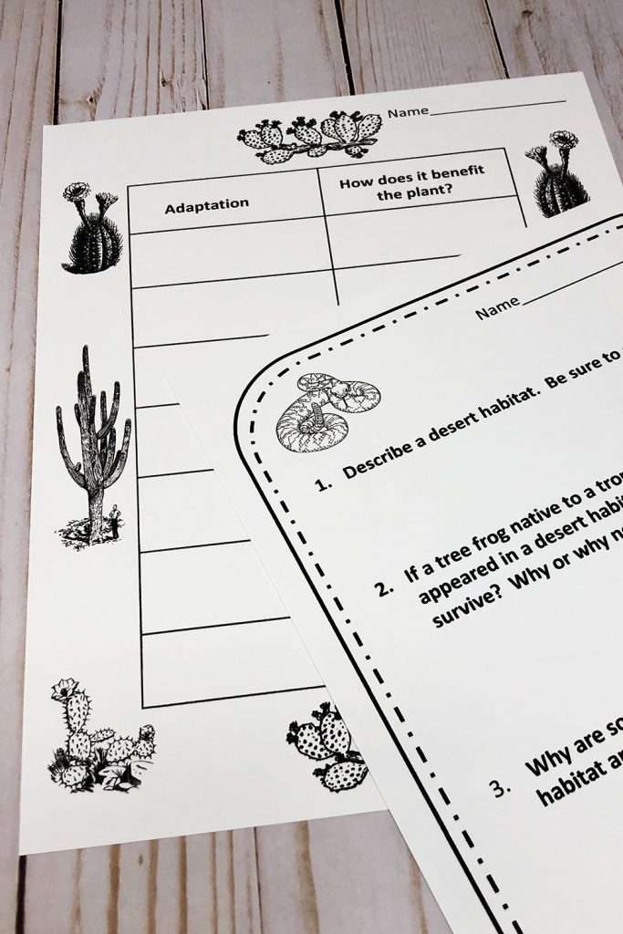 adaptation worksheets
