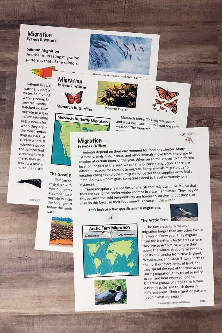 Hibernation and Migration