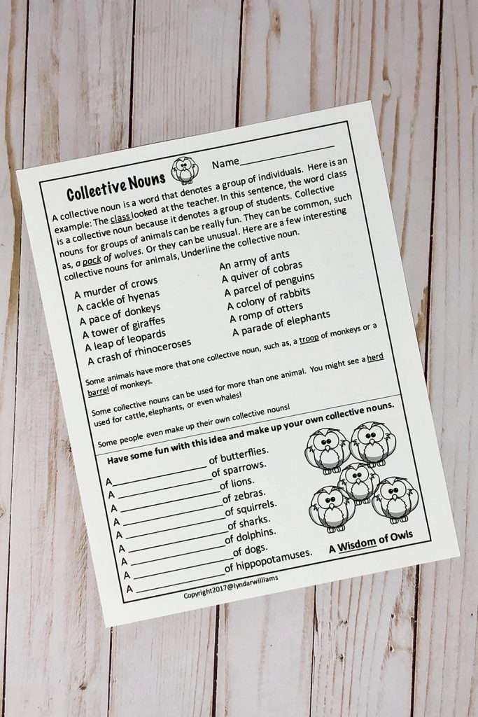 collective noun page