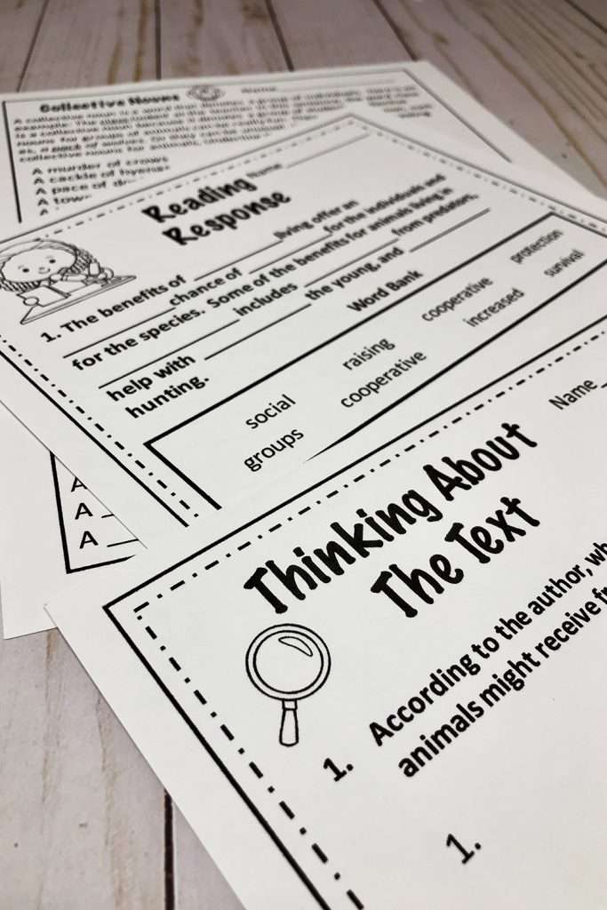 Reading response animals live in groups