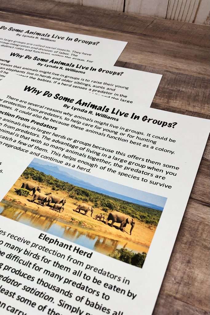 article on why some animals live in groups