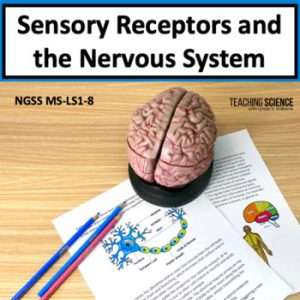 Sensory Receptors and The Nervous System