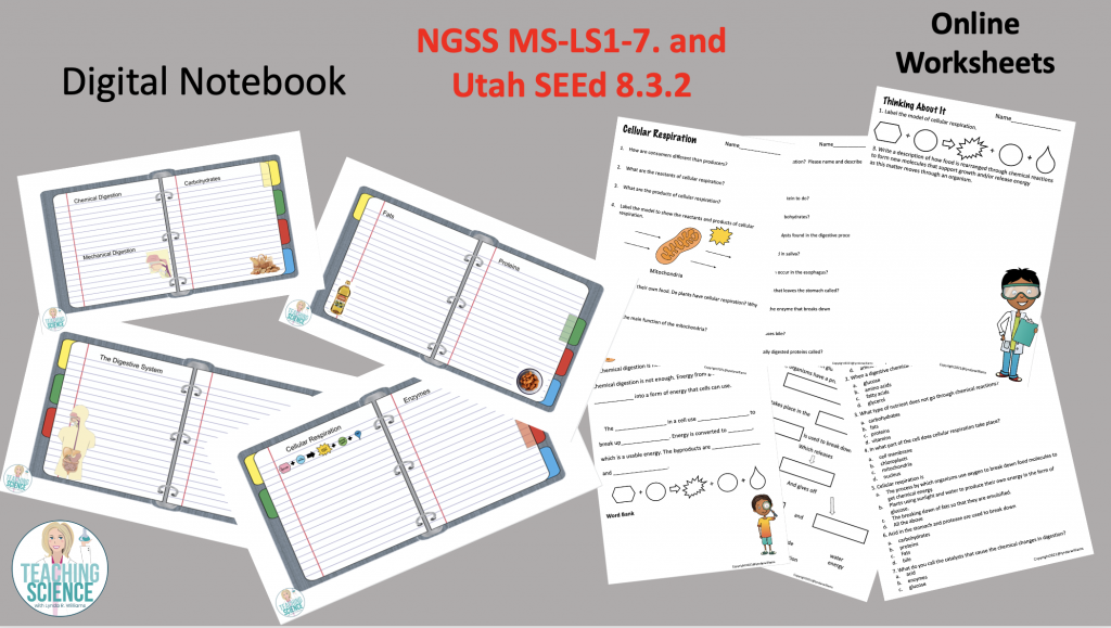 Cellular respiration