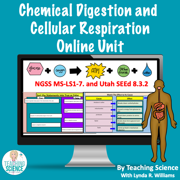 Cellular respiration MS LS1-7