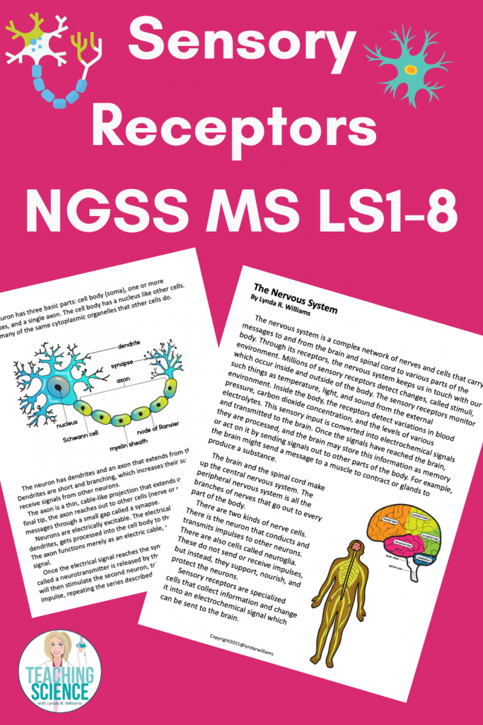 Sensory Receptors and the Nervous system