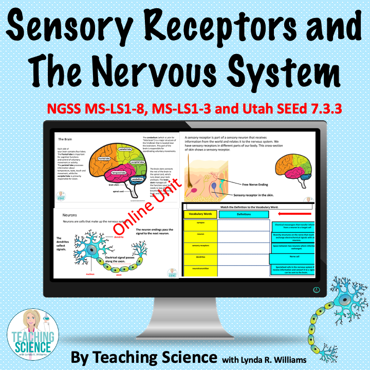 google Slice Unit on Sensory receptors
