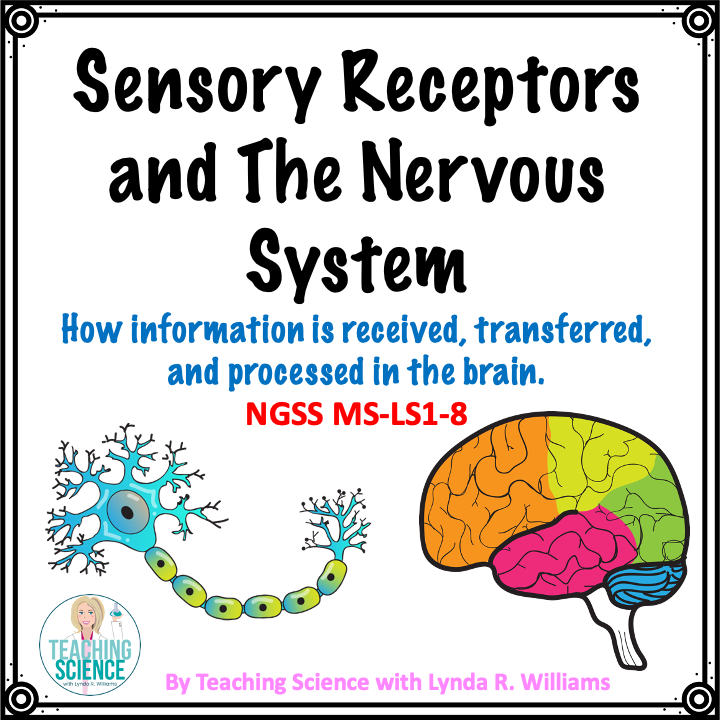 sensory receptors printable unit