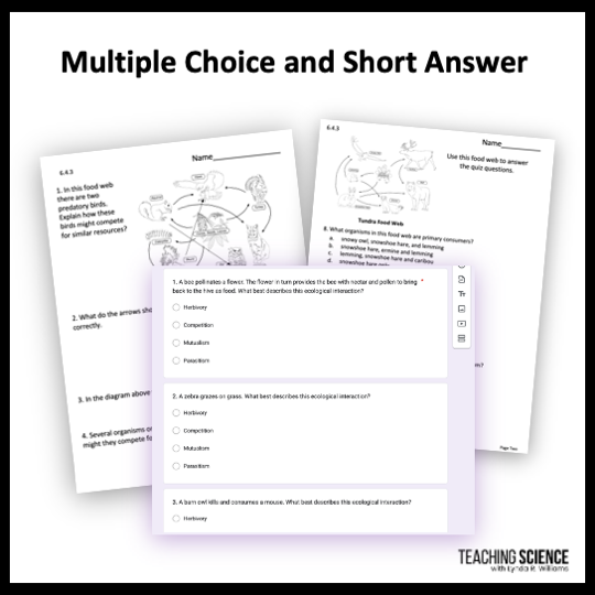 Utah SEEd 6.4 Strand Assessments - Test Prep RISE - Image 2