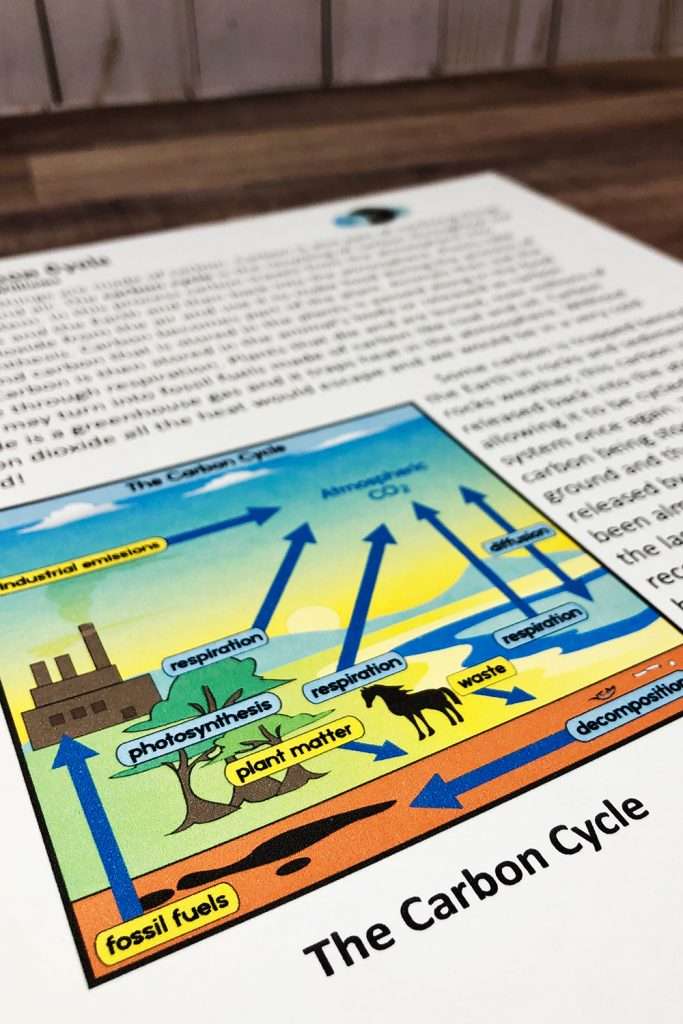 Reading passage on the carbon cycle
