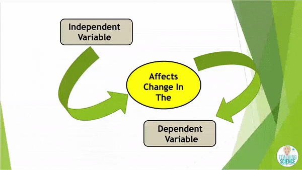 Conducting an investigation