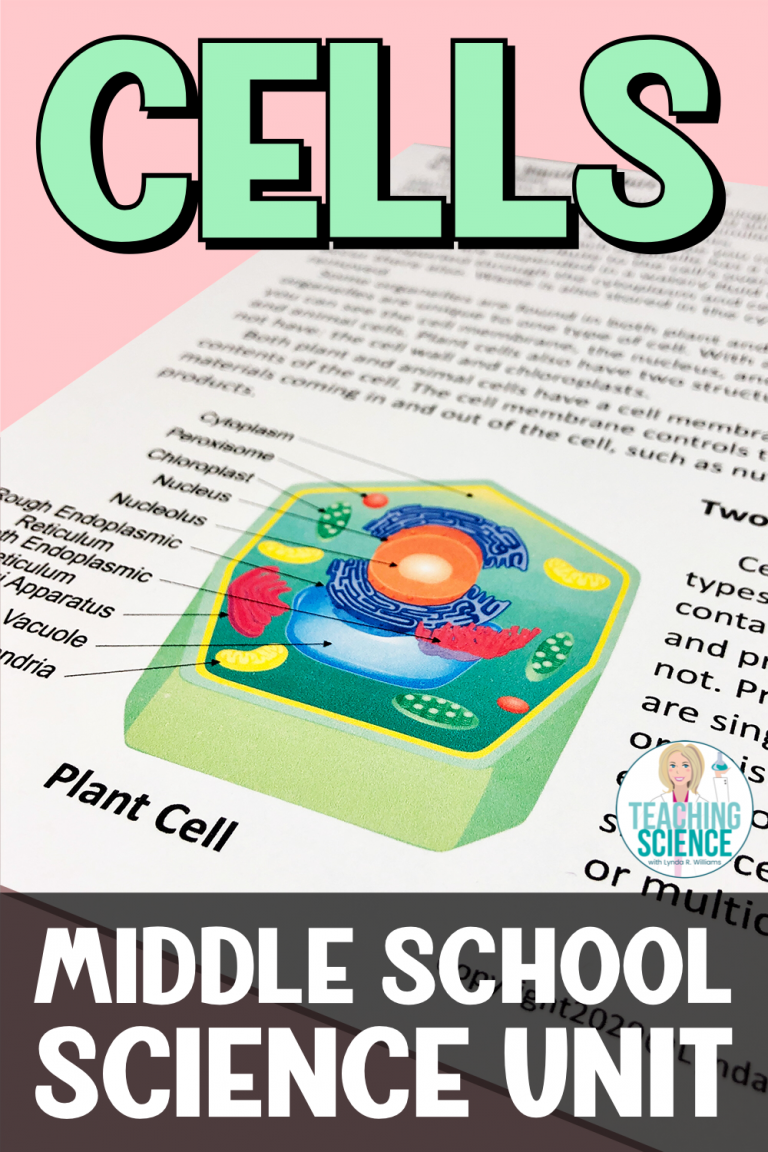 cell structure and function