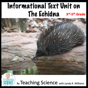 Informational text Echidna