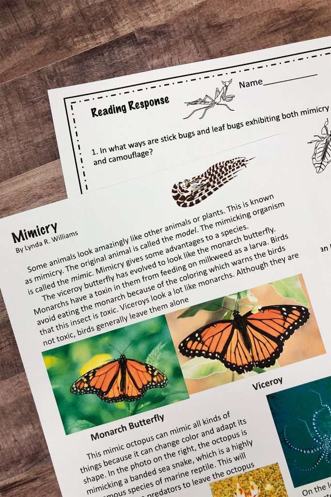 mimicry and camouflage