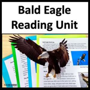 Reading Comprehension Passages and Questions on The Bald Eagle