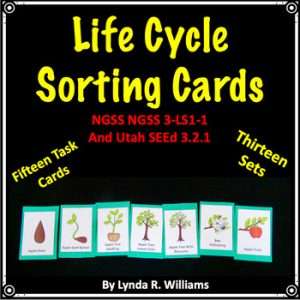life cycle sorting cards