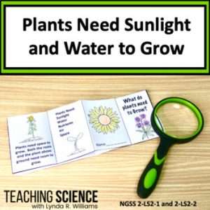 Plants Need Sunlight and Water to Grow