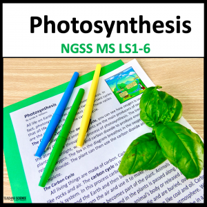 photosynthesis