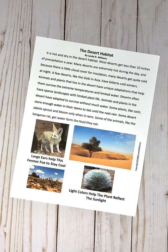 the desert habitat