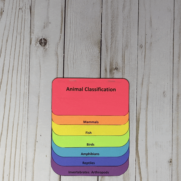 biodiversity flip book