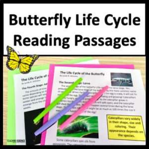 Butterfly Life Cycle Reading Unit