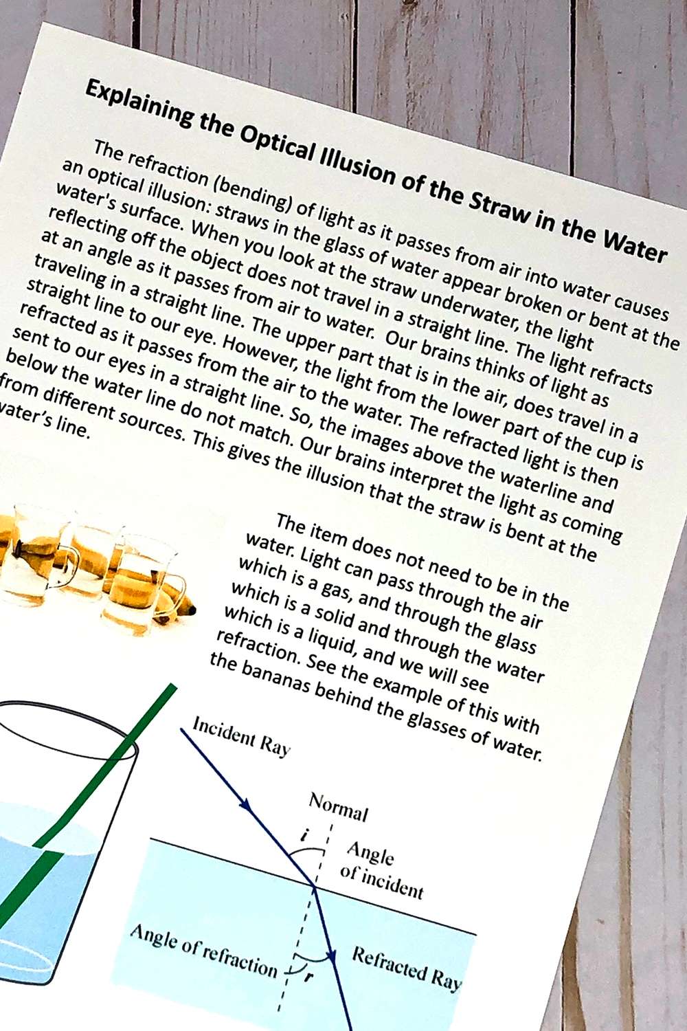 Waves: Transmission, Absorption, and Reflection Middle School Science ...