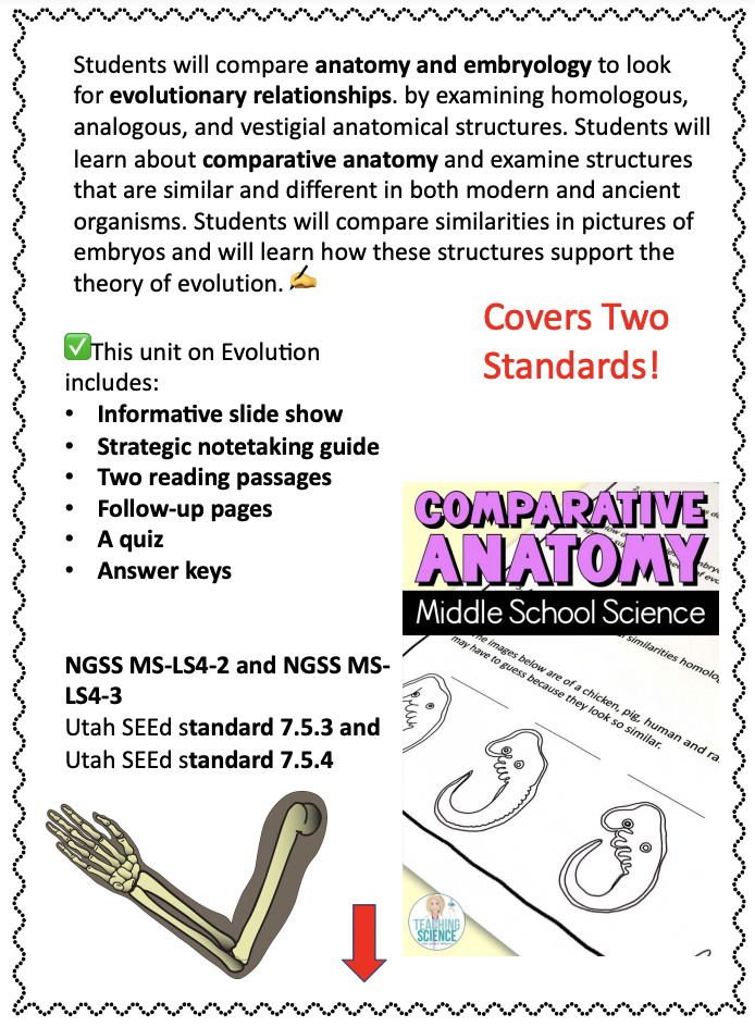evolution comparing anatomy