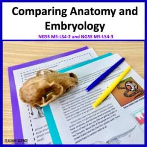 Comparing Anatomy and Embryology