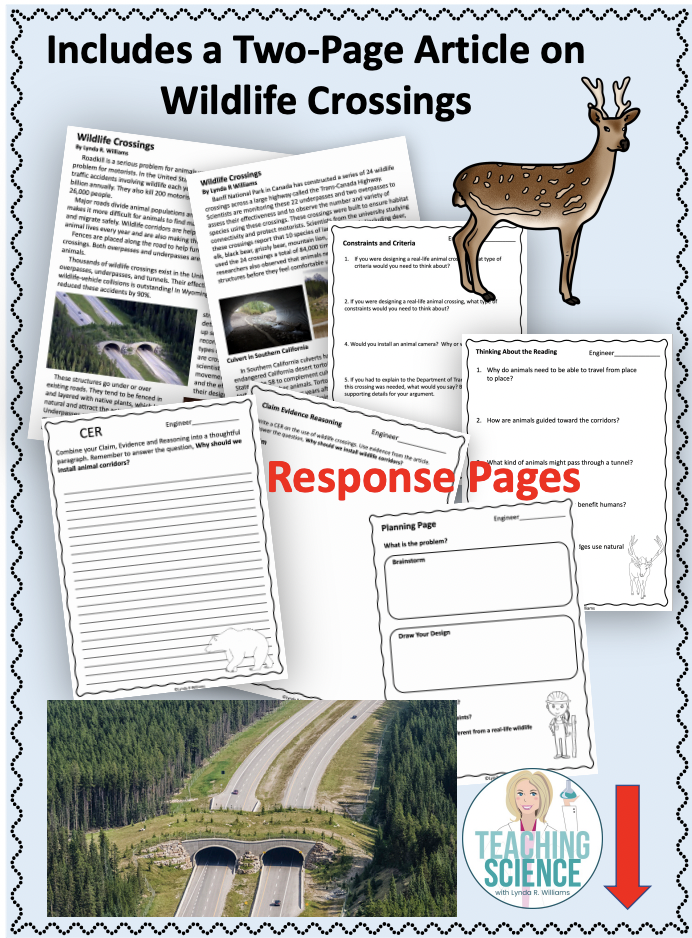 STEM Challenge Wildlife Bridge