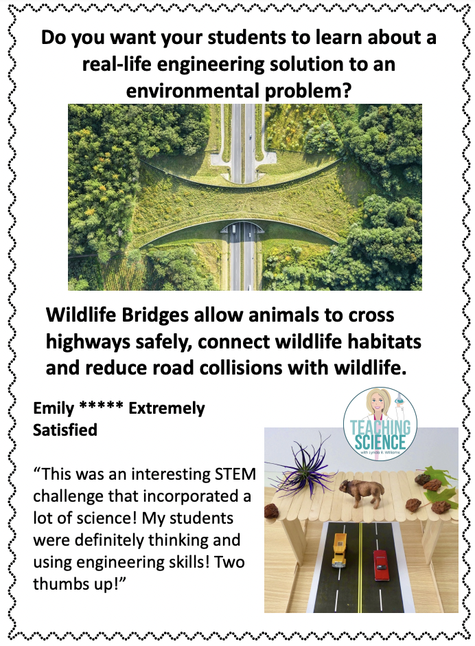 STEM Challenge Wildlife Bridge