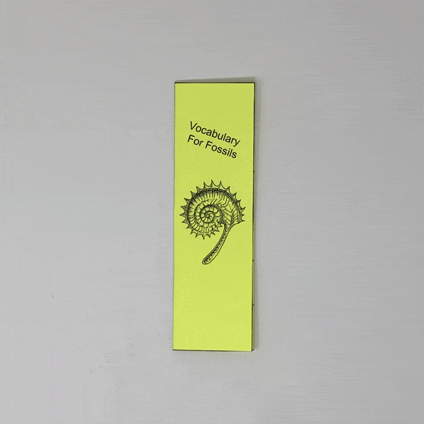 fossil record foldable