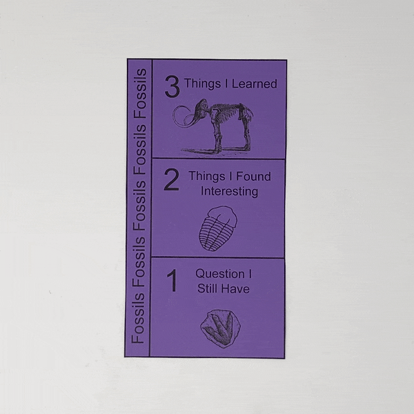 fossil record foldable