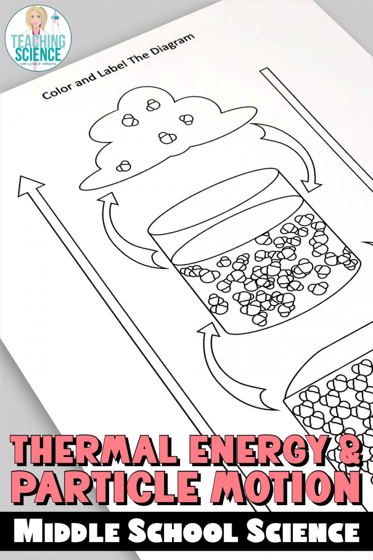 thermal energy and particle motion