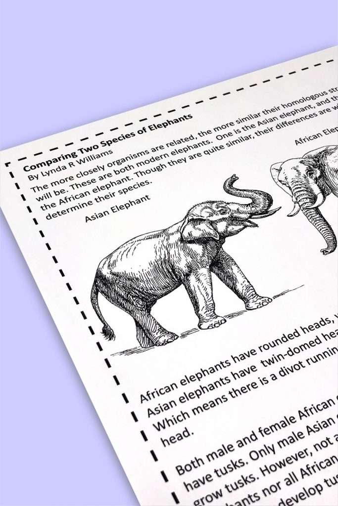 comparing two species