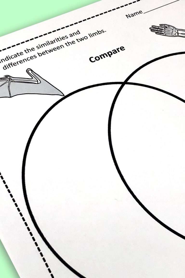 Comparing Anatomy and Embryology