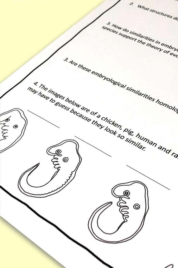 comparing embryology