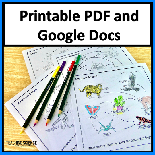 Food web worksheets