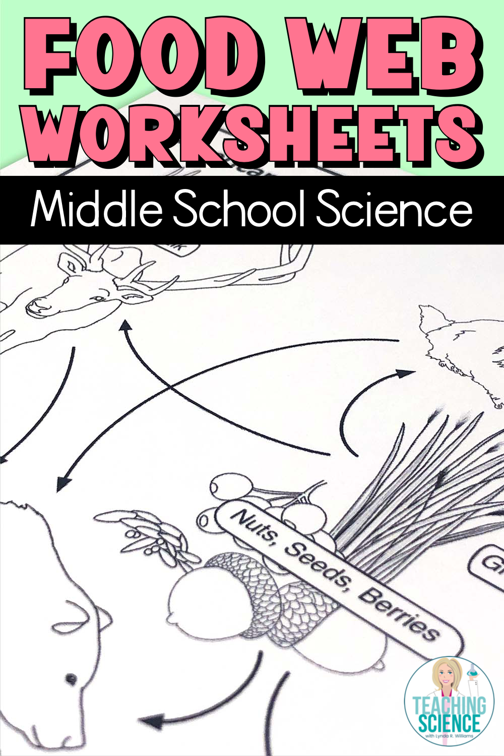 Food Web Worksheets, image size:1000x1500