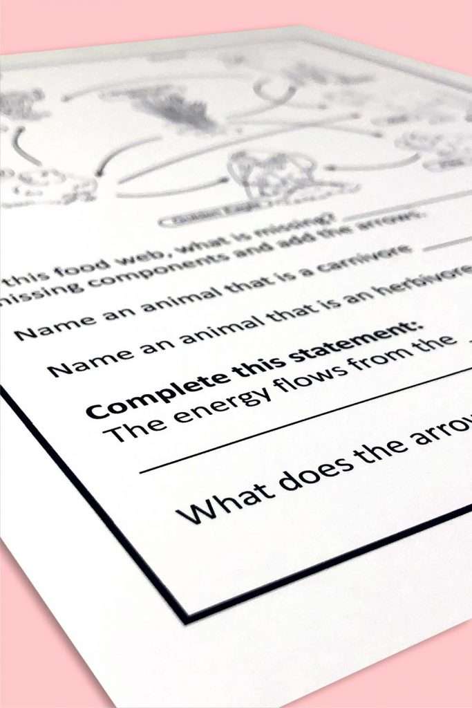 Food webs worksheets 