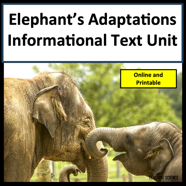 informational text adaptations elephants